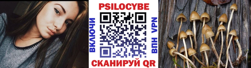 Псилоцибиновые грибы GOLDEN TEACHER OMG маркетплейс Луховицы