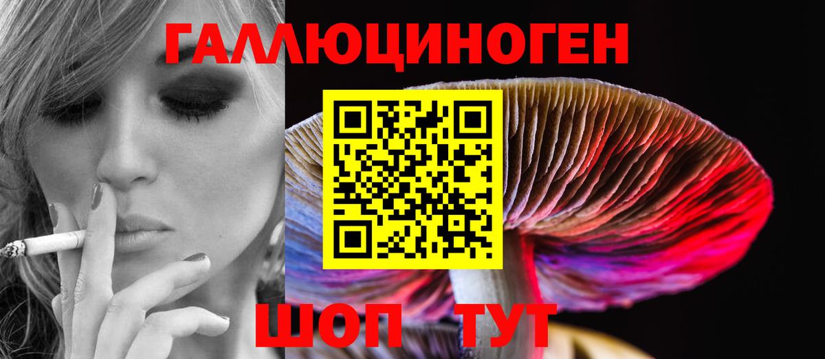 Луховицы  Псилоцибиновые грибы GOLDEN TEACHER  Псилоцибиновые грибы Cubensis  Вход с VPN 